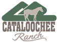 Cataloochee_logo_green_and_beige 2 Cataloochee_logo_green_and_beige 2